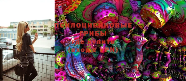 МДПВ Медвежьегорск