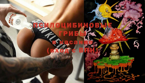 МДПВ Медвежьегорск
