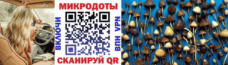 Псилоцибиновые грибы ЛСД mega зеркало Малгобек