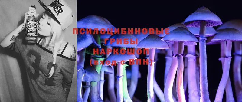 сколько стоит  Малгобек  Псилоцибиновые грибы MAGIC MUSHROOMS 